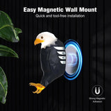 Bald Eagle Wall Light 🦅