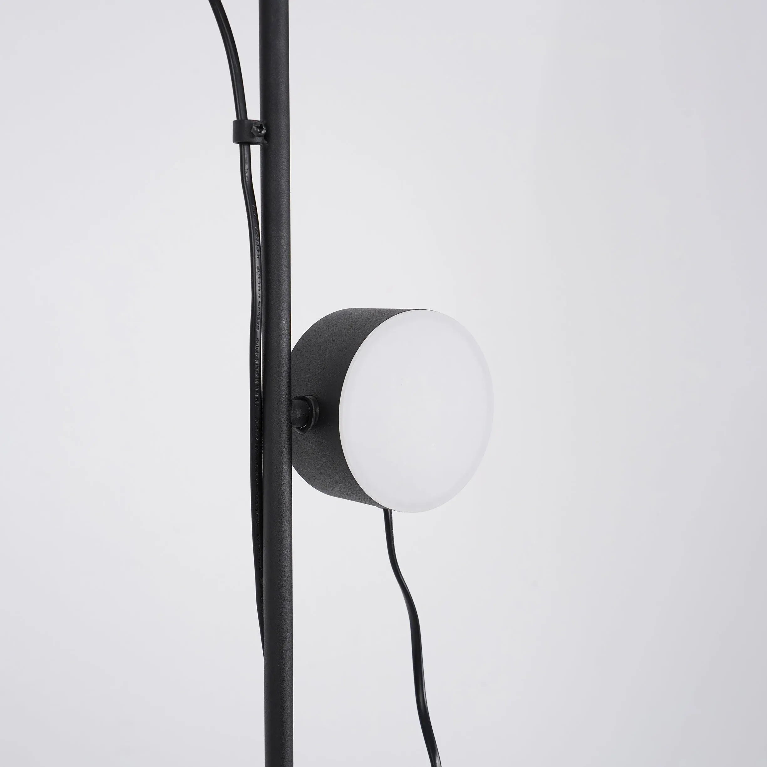 Dual-Head Adjustable Direction Black Plug-In Floor Lamp