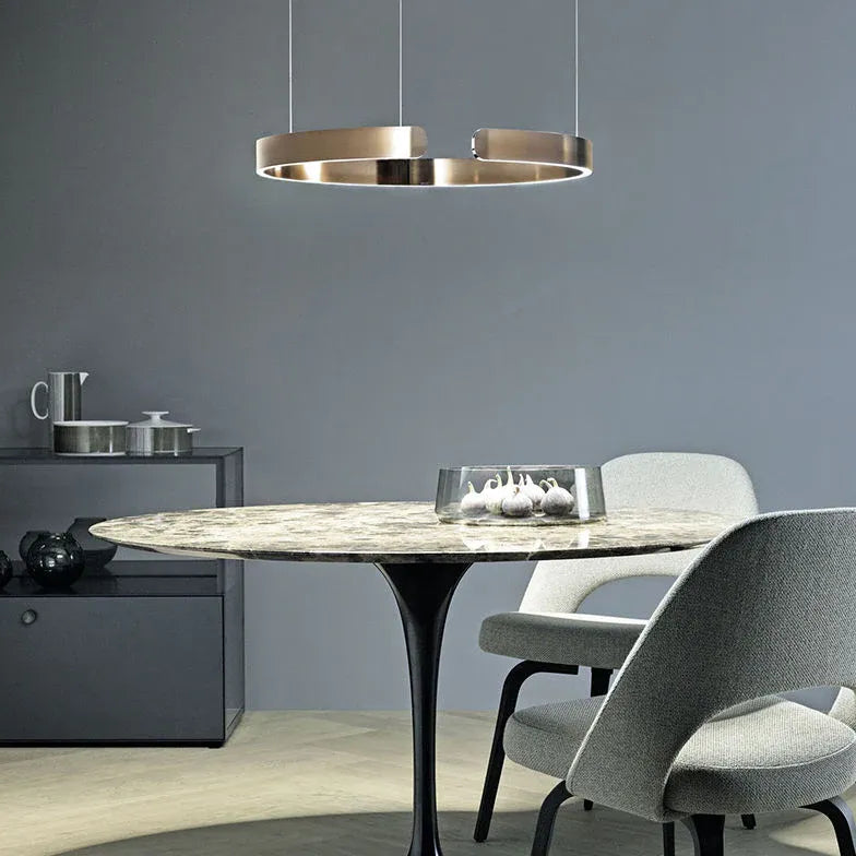 Future Technology LED Modern Pendant Light