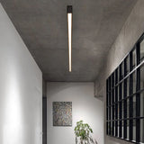 Long Linear Black Flush Ceiling Lights