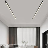 Long Linear Black Flush Ceiling Lights