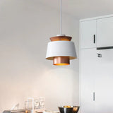 Double Layer Lampshade LED Modern Pendant Light