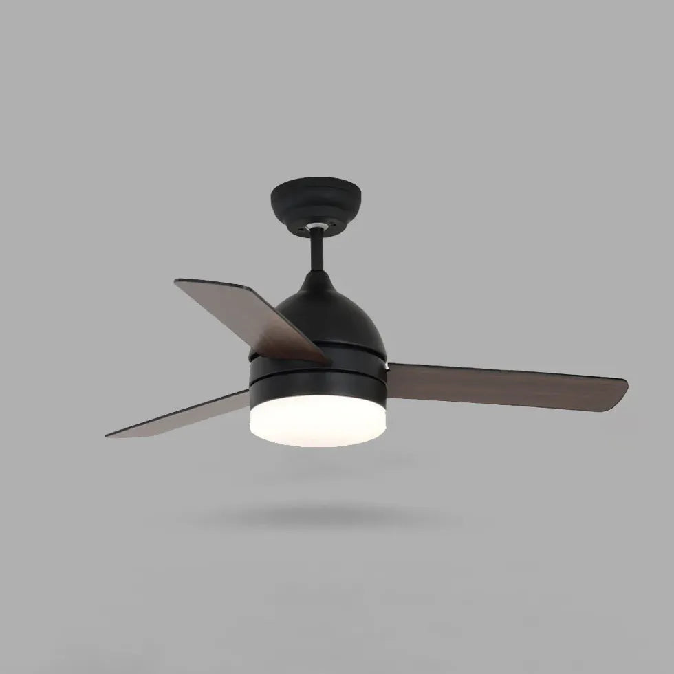 Black Modern Living Room Fan Light