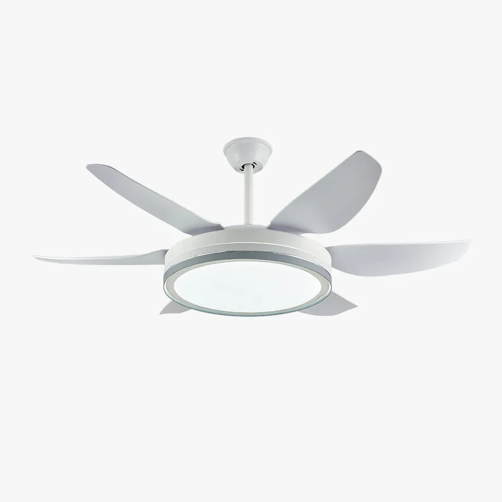 Black Metal Modern Minimalist Fan Light