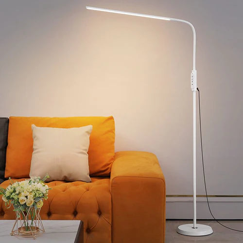 Long Strip Arc-Shaped LED Floor Lamp