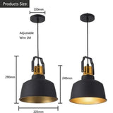 Black & Gold Single Head Industrial Pendant Light