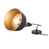 Black & Gold Single Head Industrial Pendant Light
