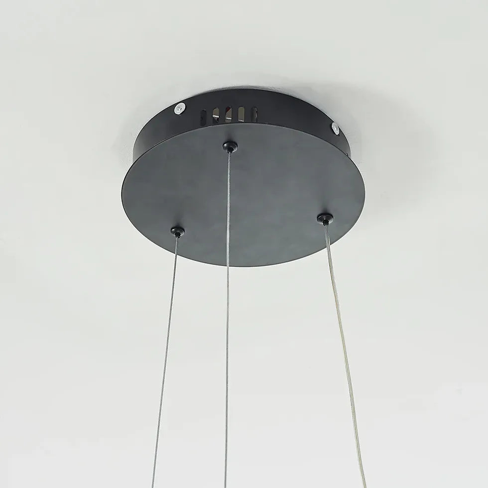 Irregular Curved Minimalist Pendant Light