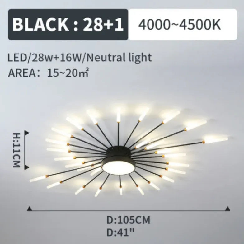 Black LED Modern Flush Ceiling Lights