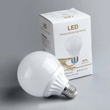 Modern Dual Color Minimalist Light Bulb