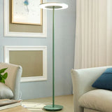 Circular Ring Long Pole Floor Lamp