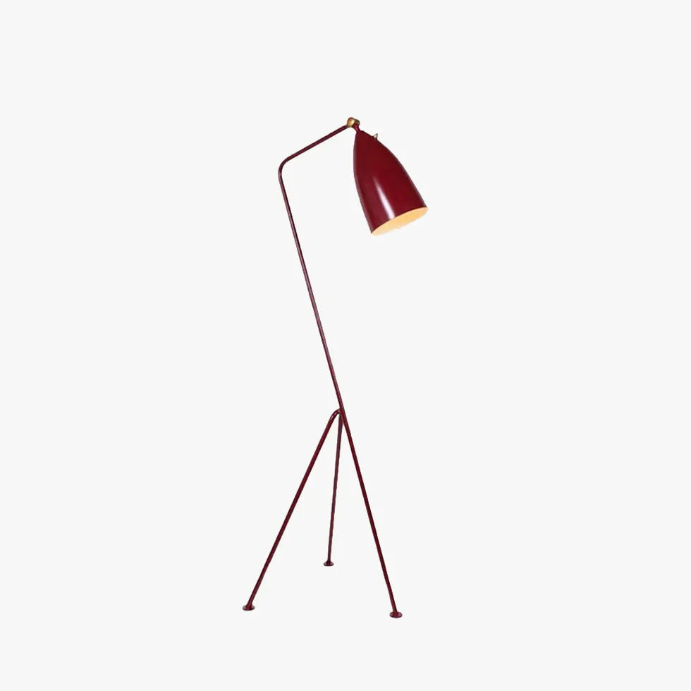 Slanted Tripod Minimalist Floor Lamp