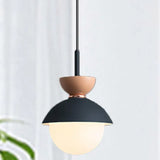 Single Head Glass Globe Pendant Light