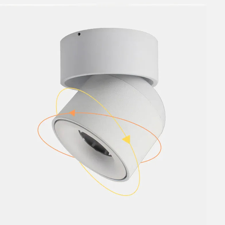 Cylindrical Adjustable Angle LED Flush Ceiling Lights