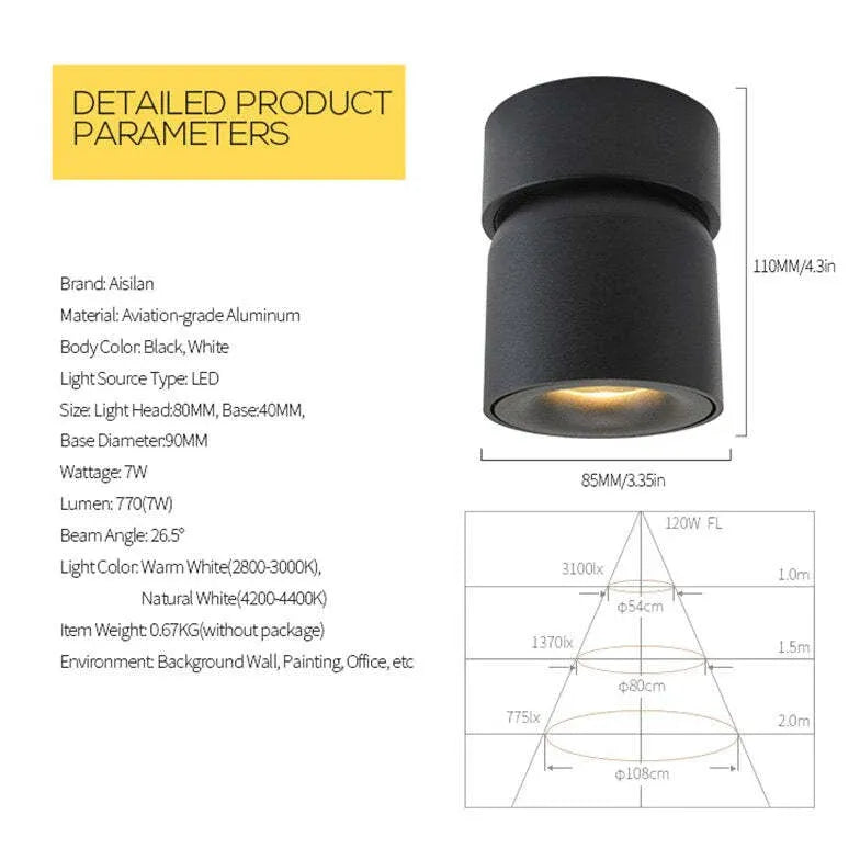 Cylindrical Adjustable Angle LED Flush Ceiling Lights