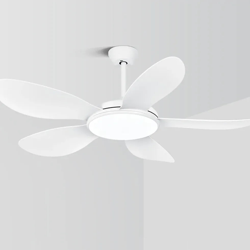 White Wooden Fan with Light