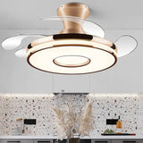 Transparent Ceiling Fan with Light Modern