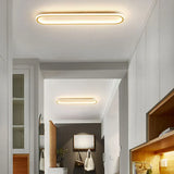 Elongated Oval LED Modern Flush Ceiling Lights