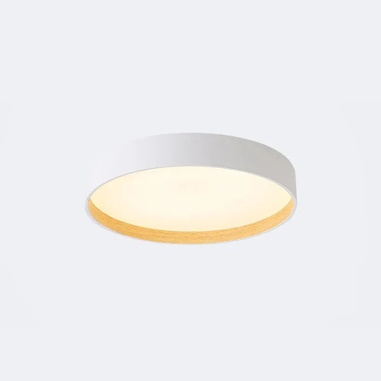 Gray Round Minimalist Modern Ceiling Light