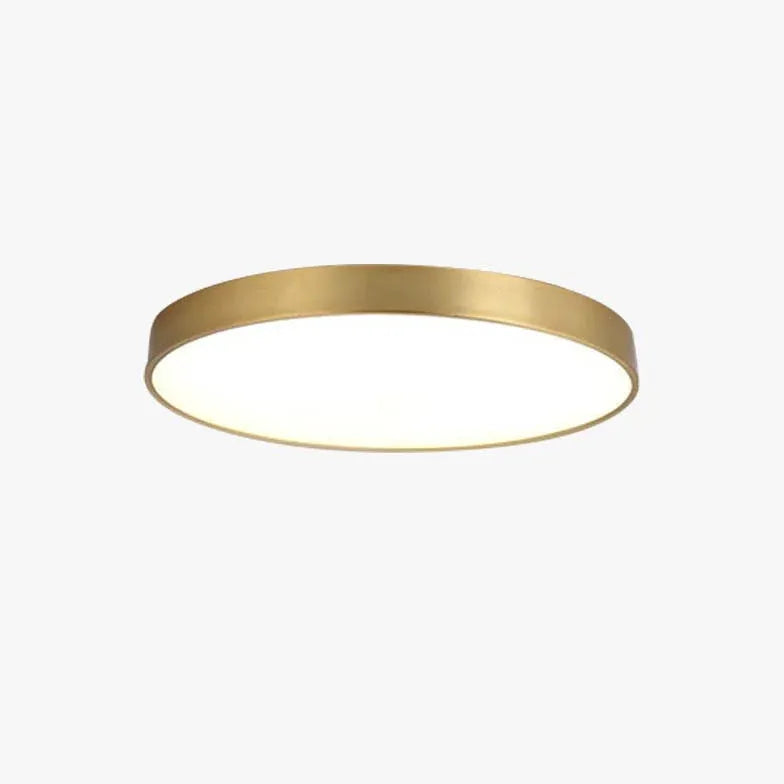 Metallic Round Minimalist Ceiling Light for Corridor